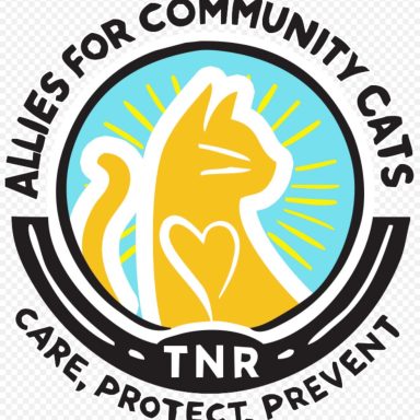 Allies For Community Cats